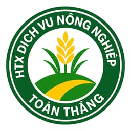 Gạo Nếp Hạt Cau